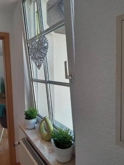 Salzmannhaus Apartment Zschopau